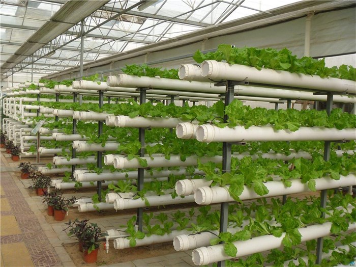 兰州市鱼菜共生种植槽 - 方案
