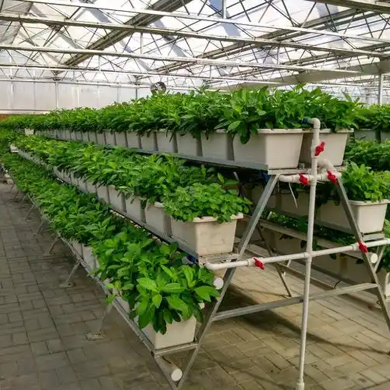 兰州市植物工厂玻璃温室 - 厂家