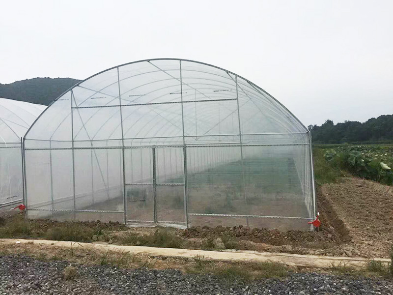 兰州市薄膜大棚无土栽培 - 方案